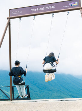 Yoo-Hoo SWING/ HAKUBA MOUNTAIN HARBOR